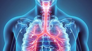 Pleural Disease - Year in Review. Dr. Najib M Rahman